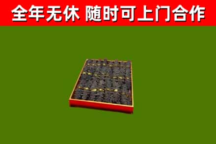安达市回收海参